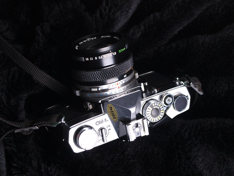 pa061299.jpg